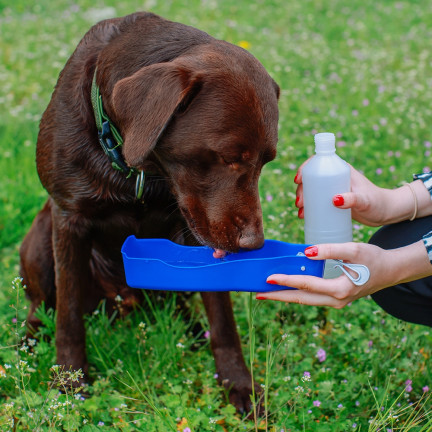 XA124B  BUTELKA Z MISECZKĄ DLA PSA PRZENOŚNA z KLIPSEM BIDON poidło dla zwierząt