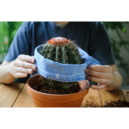 BIO10 PODŁOŻE ZIEMIA DO KAKTUSÓW I SUKULENTÓW ALOESU PRZEPUSZCZALNA 5L