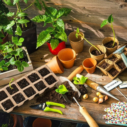 EDA3234 KOMPLET 3 PALETEK DONICZEK TOFROWYCH 24,5X12,5X6CM