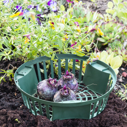 IKCS315-G851 KOSZYK koszyczek osłonka DO SADZENIA CEBUL na cebulki kwiatowe 31,5cm