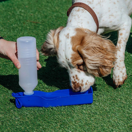 XA124B  BUTELKA Z MISECZKĄ DLA PSA PRZENOŚNA z KLIPSEM BIDON poidło dla zwierząt
