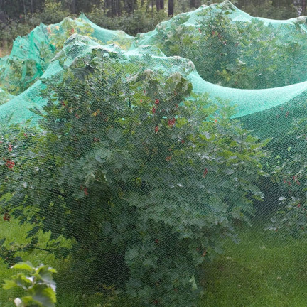 TG70203 SIATKA NA PTAKI SZPAKI OCHRONNA ogromna PRZECIW PTAKOM SZKODNIKOM 5x50m