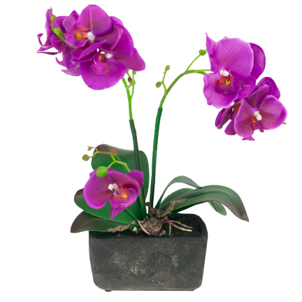 CV10855-MIX STORCZYK GUMOWANY W Donicy mix