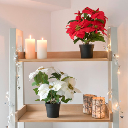 CV19864 GWIAZDA BETLEJEMSKA W DONICZCE SZTUCZNA WELUROWA POINSECJA REALISTYCZNA