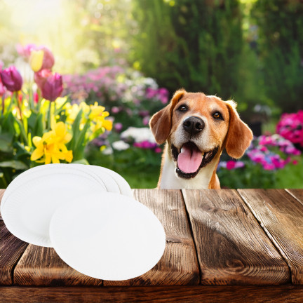 ARP3907 KPL 10SZT. TALERZY TALERZE PAPIEROWE 18CM