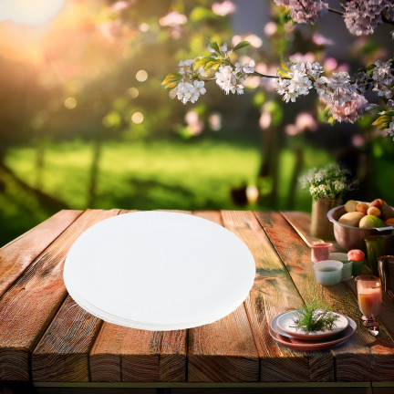 ARP3907 KPL 10SZT. TALERZY TALERZE PAPIEROWE 18CM