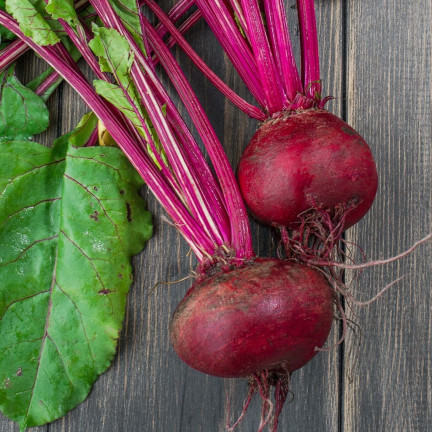 W0012 BURAK ĆWIKŁOWY CZERWONA KULA 2 10G NASIONA BURAKA CZERWONEGO