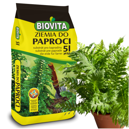 Ziemia do paproci, podłoże do roślin wzbogacone nawozem, optymalny skład, dobry przepływ powietrza, Biovita 5l