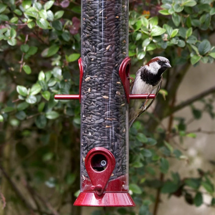TUR5 CZARNY SŁONECZNIK ZIARNO POKARM KARMA MIESZANKA DLA PTAKÓW NA ZIMĘ 1KG