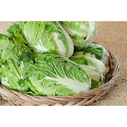 W1088 KAPUSTA PEKIŃSKA NASIONA KAPUSTY BRISTOL WCZESNA DUŻE SMACZNE GŁÓWKI 1G