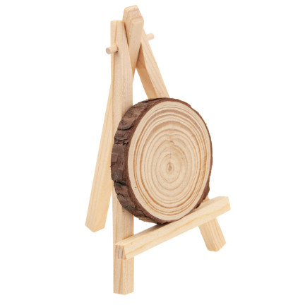 C153902  PLASTER DREWNA + FARBY MINI SZTALUGA ZESTAW DIY