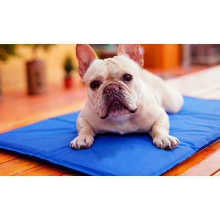 TG64478 MATA CHŁODZĄCA ŻELOWA MAXI DLA PSA LEGOWISKO XXXL NA LATO UPAŁY