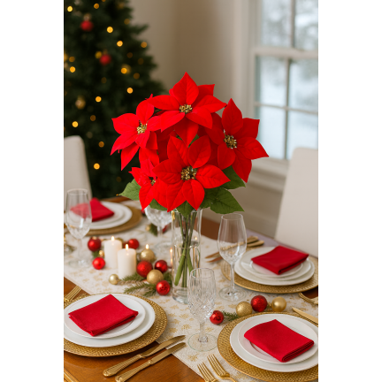 CV06742-2 GWIAZDA BETLEJEMSKA CZERWONA BUKIET X5