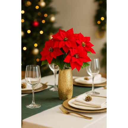 CV06742-2 GWIAZDA BETLEJEMSKA CZERWONA BUKIET X5