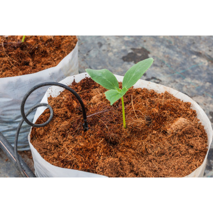 BIO16 BIOVITA COCO PEAT WŁÓKNO KOKOSOWE PODŁOŻE ROZLUŹNIONE 0-10MM 5L