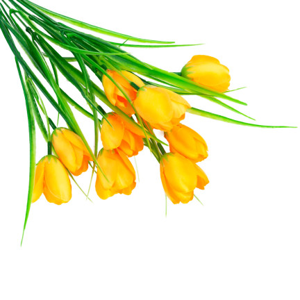 CV07855-5 TULIPANY BUKIET TULIPANÓW KWIATY SZTUCZNE ŻÓŁTE W BUKIECIE TULIPAN  ozdoba