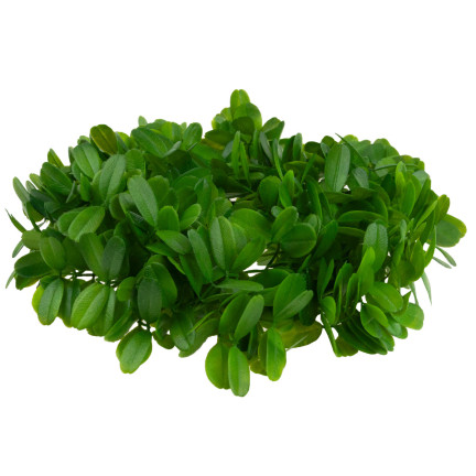 CV08595 WIANEK NA DRZWI STÓŁ STROIK WIOSENNY DEKORACYJNY BAZA DO STROIKÓW WIANKI