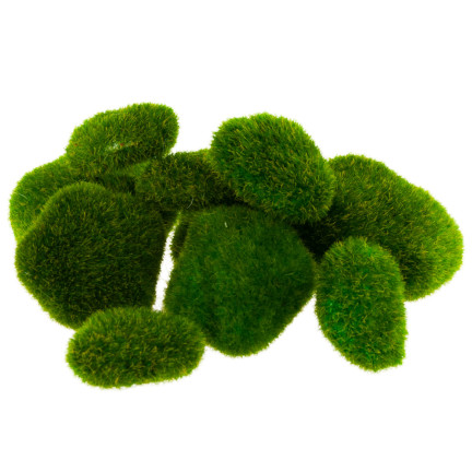 CV11073 KAMIENIE OMSZAŁE Z MCHU MECH DEKORACYJNE 10 SZT.