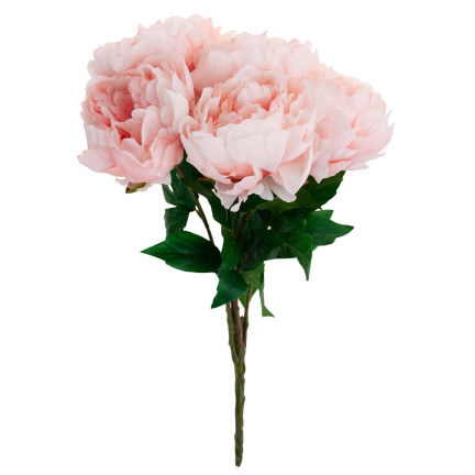 CV11290-3 PEONIA BUKIET X 5
