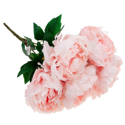 CV11290-3 PEONIA BUKIET X 5