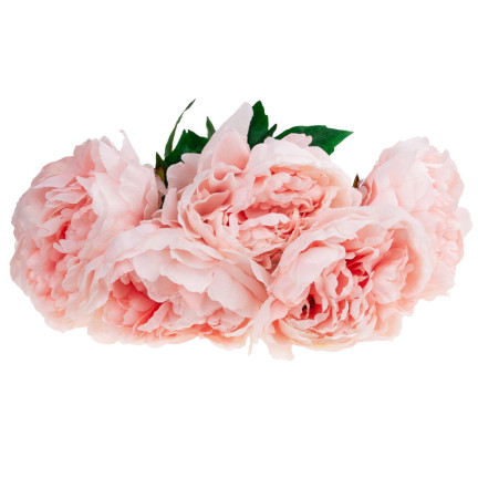 CV11290-3 PEONIA BUKIET X 5