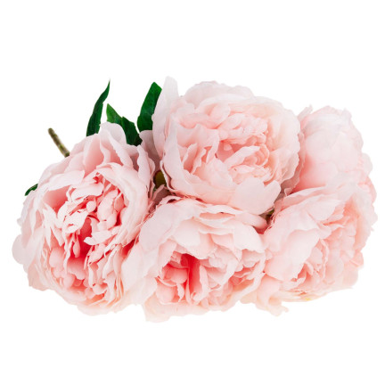 CV11290-3 PEONIA BUKIET X 5