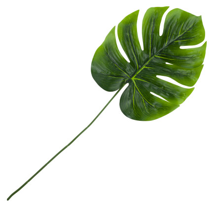 CV13755 LIŚĆ MONSTERY POJEDYNCZY