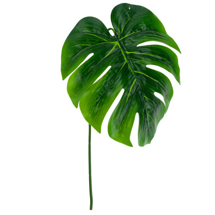 CV13755 LIŚĆ MONSTERY POJEDYNCZY