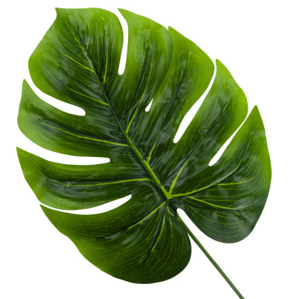 CV13755 LIŚĆ MONSTERY POJEDYNCZY