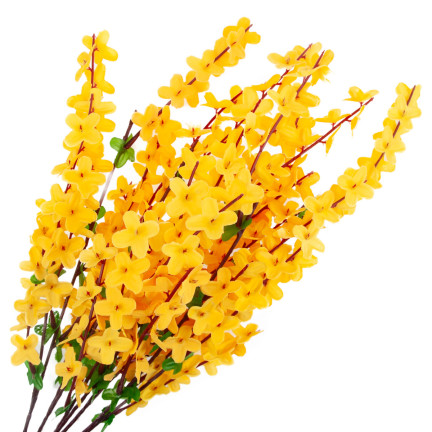 CV14351 FORSYCJA BUKIET ŻÓŁTA GAŁĄZKI WIELKANOC FORSYCJE W BUKIECIE LIŚCIE WIOSNA