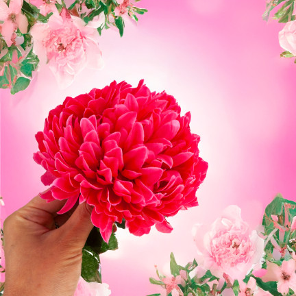 CV14384-13 CHRYZANTEMA GAŁĄZKA 70cm SZTUCZNE KWIATY DO STROIKA DUŻY KWIAT 13cm NA GRÓB czerwona