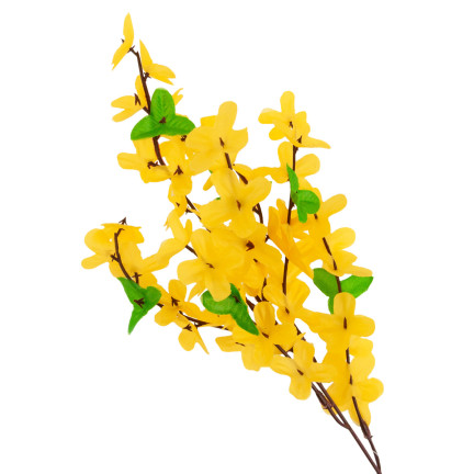 CV14393 FORSYCJA GAŁĄZKA ŻÓŁTA GAŁĄZKI WIELKANOC FORSYCJE NA GAŁĄZCE LIŚCIE stroik