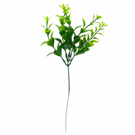 CV14404 BUKSZPAN BORÓWKA BUKIET EUKALIPTUS GĘSTE GAŁĄZKI 6szt do STROIKÓW WIELKANOC