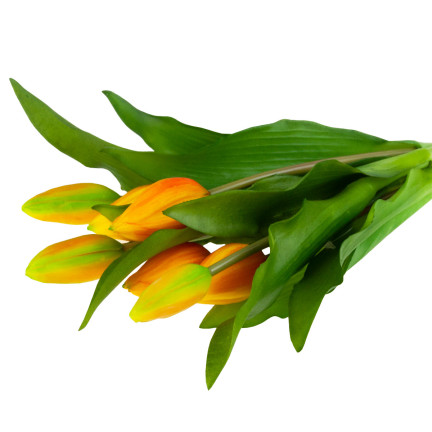 CV18674-8 TULIPANY BUKIET TULIPANÓW GUMOWANE GUMOWE JAK ŻYWE silikonowe POMARAŃCZOWE