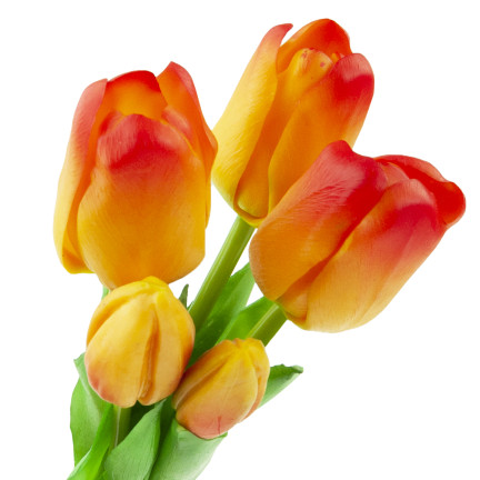 CV17692-4 TULIPANY BUKIET TULIPANÓW GUMOWANE GUMOWE JAK ŻYWE REALISTYCZNE POMARAŃCZOWE