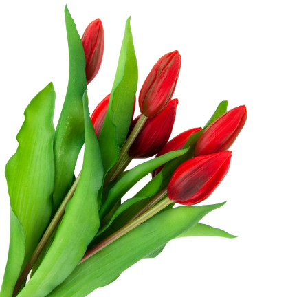 CV18674-11 TULIPANY BUKIET TULIPANÓW GUMOWANE GUMOWE JAK ŻYWE silikonowe CZERWONE