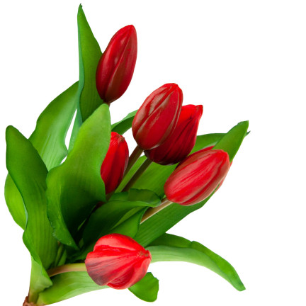 CV18674-11 TULIPANY BUKIET TULIPANÓW GUMOWANE GUMOWE JAK ŻYWE silikonowe CZERWONE