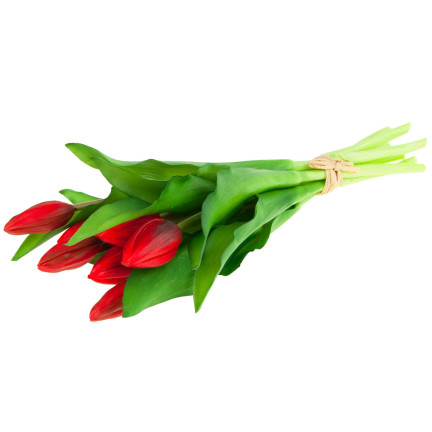 CV18674-11 TULIPANY BUKIET TULIPANÓW GUMOWANE GUMOWE JAK ŻYWE silikonowe CZERWONE