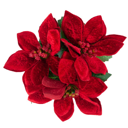 CV19864 GWIAZDA BETLEJEMSKA W DONICZCE SZTUCZNA WELUROWA POINSECJA REALISTYCZNA