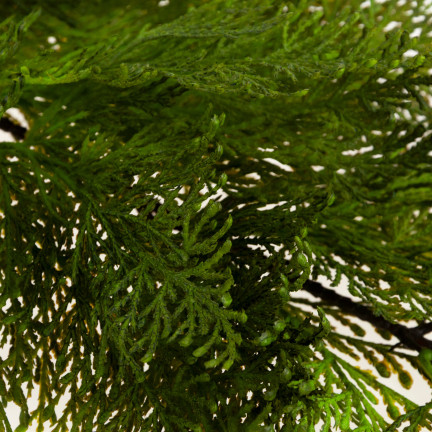 CV20749-1 GAŁĄZKA OZDOBNA JAŁOWIEC Gałąź IGLASTA DO KOMPOZYCJI stroikow na cmentarz