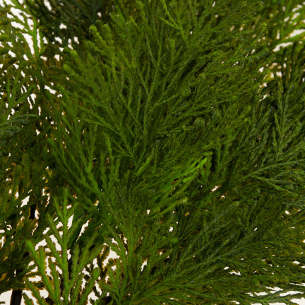 CV20749-1 GAŁĄZKA OZDOBNA JAŁOWIEC Gałąź IGLASTA DO KOMPOZYCJI stroikow na cmentarz