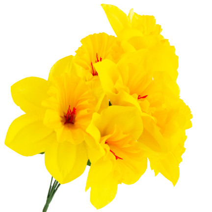 CV22107 ŻONKIL BUKIET 8 szt sztuczne kwiaty żonkile