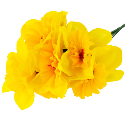 CV22107 ŻONKIL BUKIET 8 szt sztuczne kwiaty żonkile