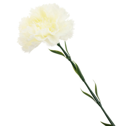 CV22527-1 SZTUCZNE KWIATY GOŹDZIK SZTUCZNY BIAŁY DO WAZONU BUKIETU Stroika cmentarz
