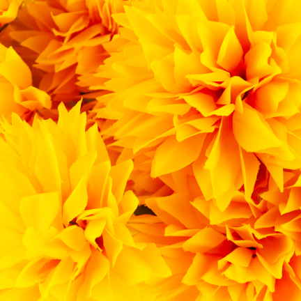 CV23704-3 CHRYZANTEMA BUKIET 12 KWIATÓW SZTUCZNY 50CM zółty