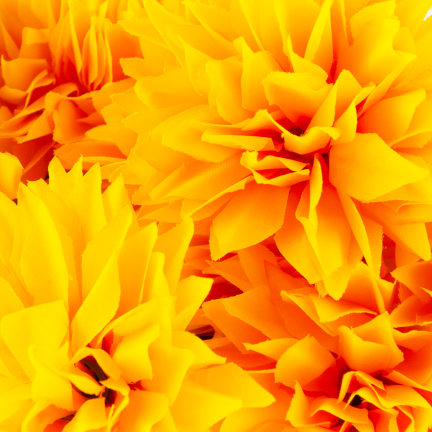 CV23704-3 CHRYZANTEMA BUKIET 12 KWIATÓW SZTUCZNY 50CM zółty