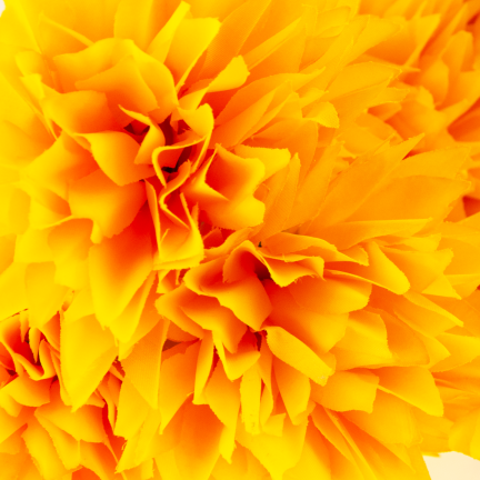 CV23704-3 CHRYZANTEMA BUKIET 12 KWIATÓW SZTUCZNY 50CM zółty