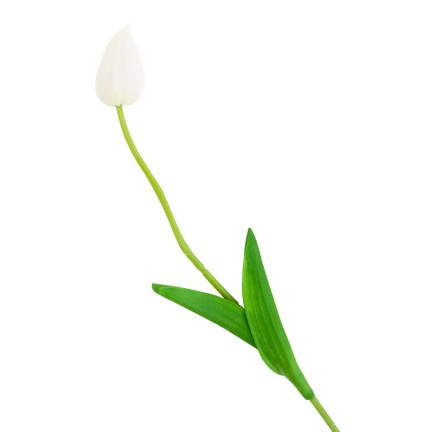 CV26799-1 TULIPAN SZTUCZNY GUMOWANY BIAŁY PIĘKNY JAK ŻYWY PIANKOWY TULIPANY stroik