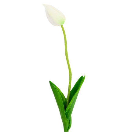CV26799-1 TULIPAN SZTUCZNY GUMOWANY BIAŁY PIĘKNY JAK ŻYWY PIANKOWY TULIPANY stroik