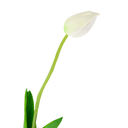 CV26799-1 TULIPAN SZTUCZNY GUMOWANY BIAŁY PIĘKNY JAK ŻYWY PIANKOWY TULIPANY stroik